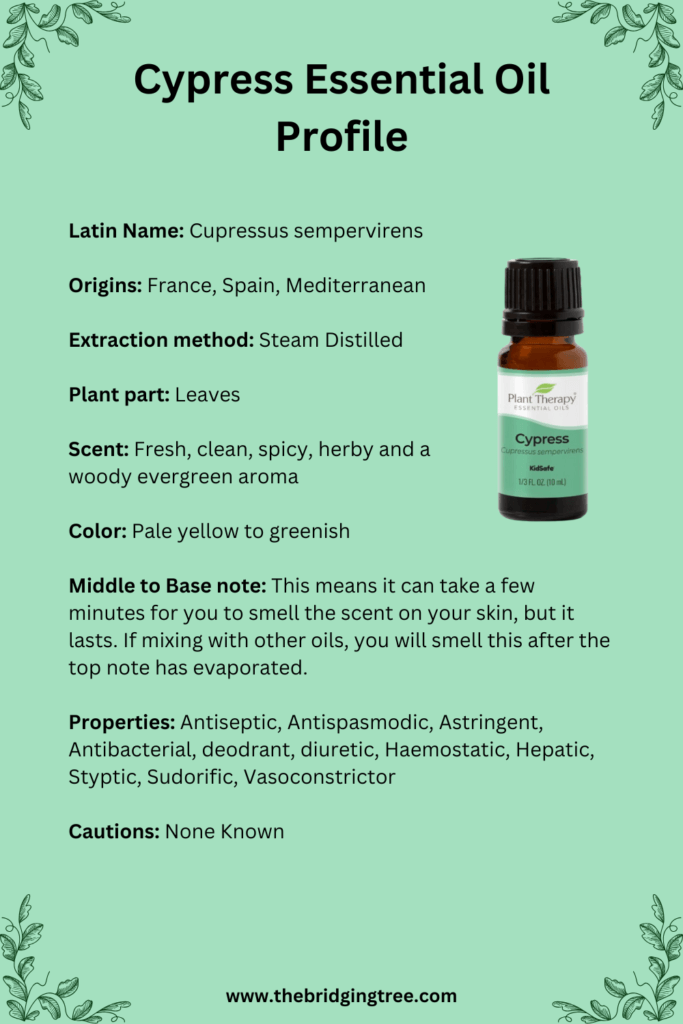 Cypress Essential Oil Cypress Essential Oil