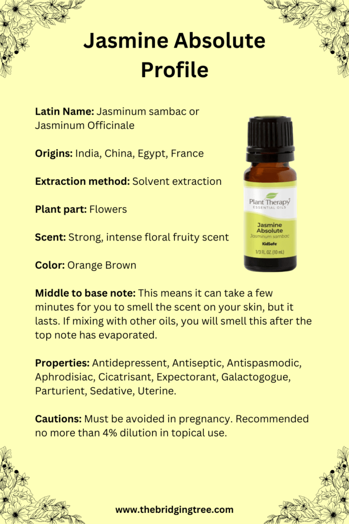 Jasmine Absolute profile Jasmine Absolute profile